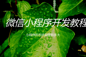 微信小程序開發(fā)實(shí)戰(zhàn)教程