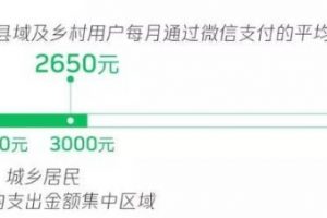 《2020微信縣域鄉(xiāng)村數(shù)字經(jīng)濟(jì)報(bào)告》