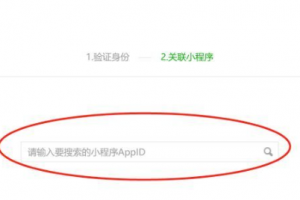AppID查詢小程序名稱方法
