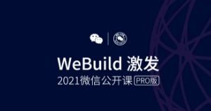 2020年服務(wù)商小程序GMV同比增長182%