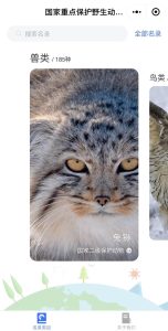 “國(guó)家重點(diǎn)保護(hù)動(dòng)物名錄”小程序上線:提供保護(hù)動(dòng)物信息查詢