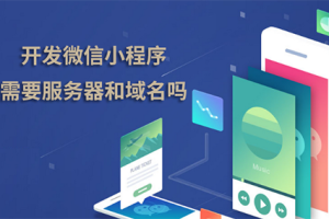 開發(fā)微信小程序需要服務(wù)器和域名嗎