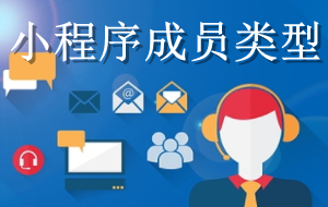 微信小程序成員類型