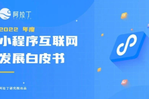 2022年度小程序白皮書