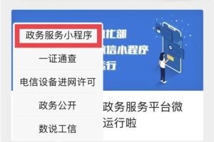 政務(wù)服務(wù)小程序